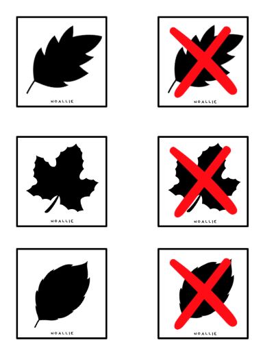 HERFST Educatieve bestanden