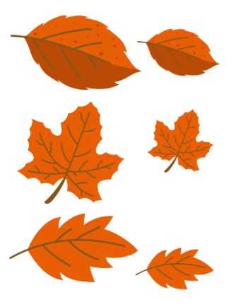 HERFST Educatieve bestanden